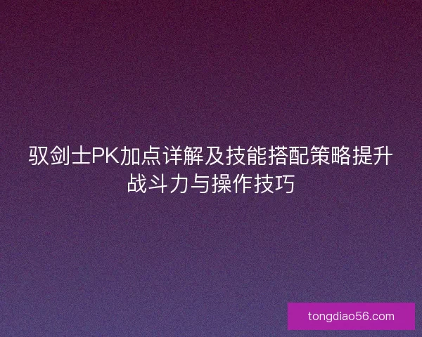 驭剑士PK加点详解及技能搭配策略提升战斗力与操作技巧