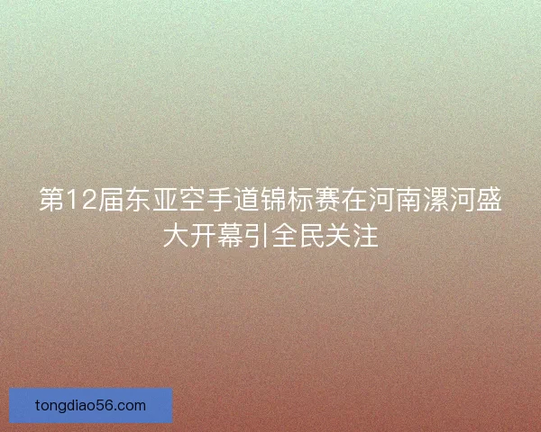 第12届东亚空手道锦标赛在河南漯河盛大开幕引全民关注